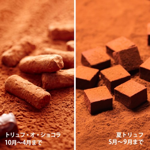 Trufa オ trufa de chocolate/verano